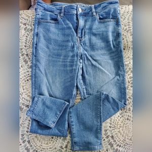 American Eagle Artist Crop Jeans